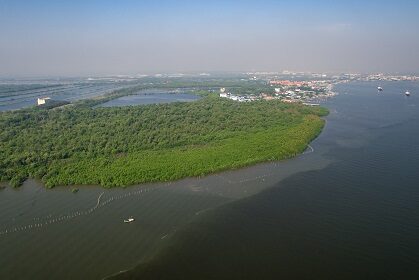 Environment