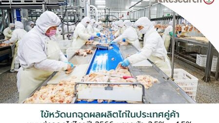 PR-Thailand-Checken-Export-2023f