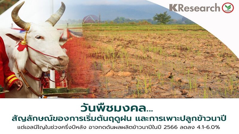 PR-THAI-RICE-AND-EL-NINO