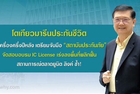 งานนำเสนอ11