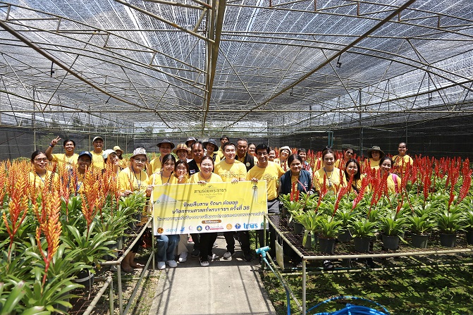 ภาพหลักโครงการ ทิพยสืบสาน รักษา ต่อยอด นวัตกรรมศาสตร์พระราชา
