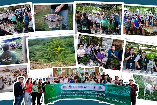 TMSTH_ปลูกป่าเพื่อฟื้นฟูต้นน้ำน่าน (1)-2