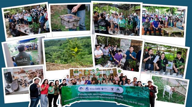 TMSTH_ปลูกป่าเพื่อฟื้นฟูต้นน้ำน่าน (1)-2